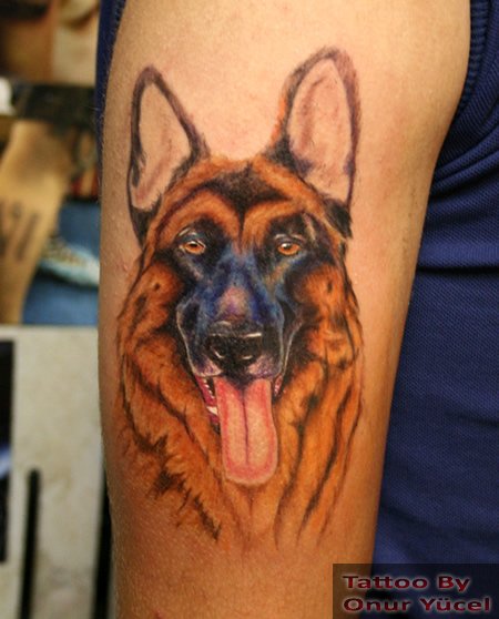 dora gsd köpek dövmesi