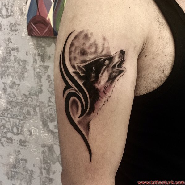 kurt dövmesi kurt dövmesi modelleri wolf tattoo çankaya madline tattoo ankara