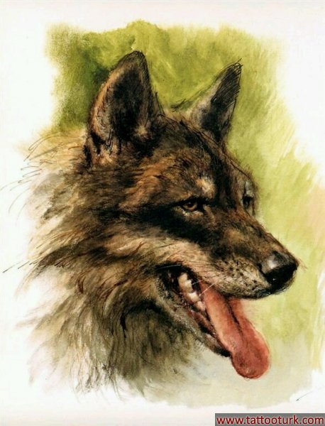 kurt dövme modelleri dövme desenleri tattoo desing