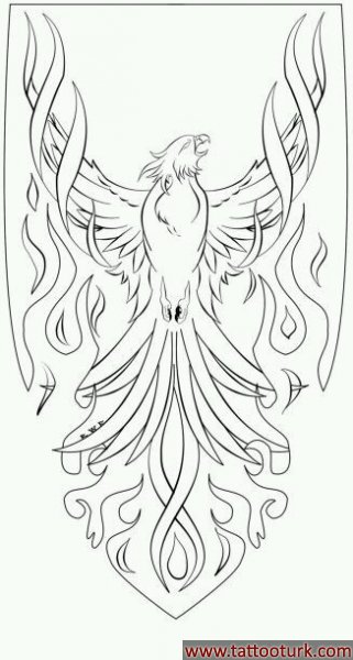 anka kuşu dövme modelleri dövme desenleri tattoo desing