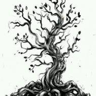 ağaç tree dövme modelleri dövme desenleri tattoo desing
