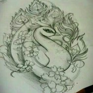 kuş bird dövme modelleri dövme desenleri tattoo desing