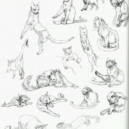 cat kedi kediler dövme modelleri dövme desenleri tattoo desing