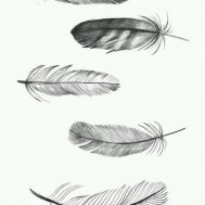 tüy kızılderli dövme modelleri dövme desenleri tattoo desing