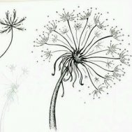 dandelion çiçek kadınlar için dövme modelleri dövme desenleri tattoo desing
