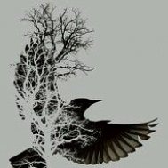 karga ağaç dövme modelleri dövme desenleri tattoo desing